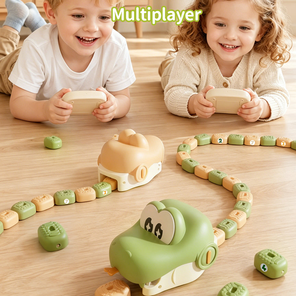 Snake Magnetic Toy